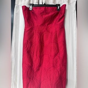 Ruby red Theory dress